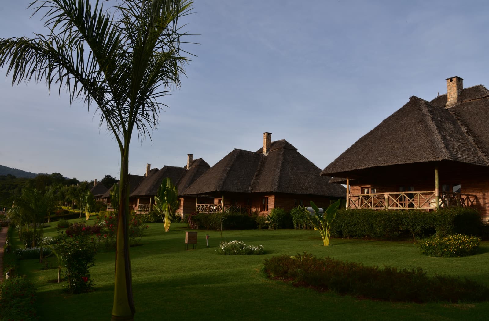 Thatched lodge cottages in gardens near Ngorongoro