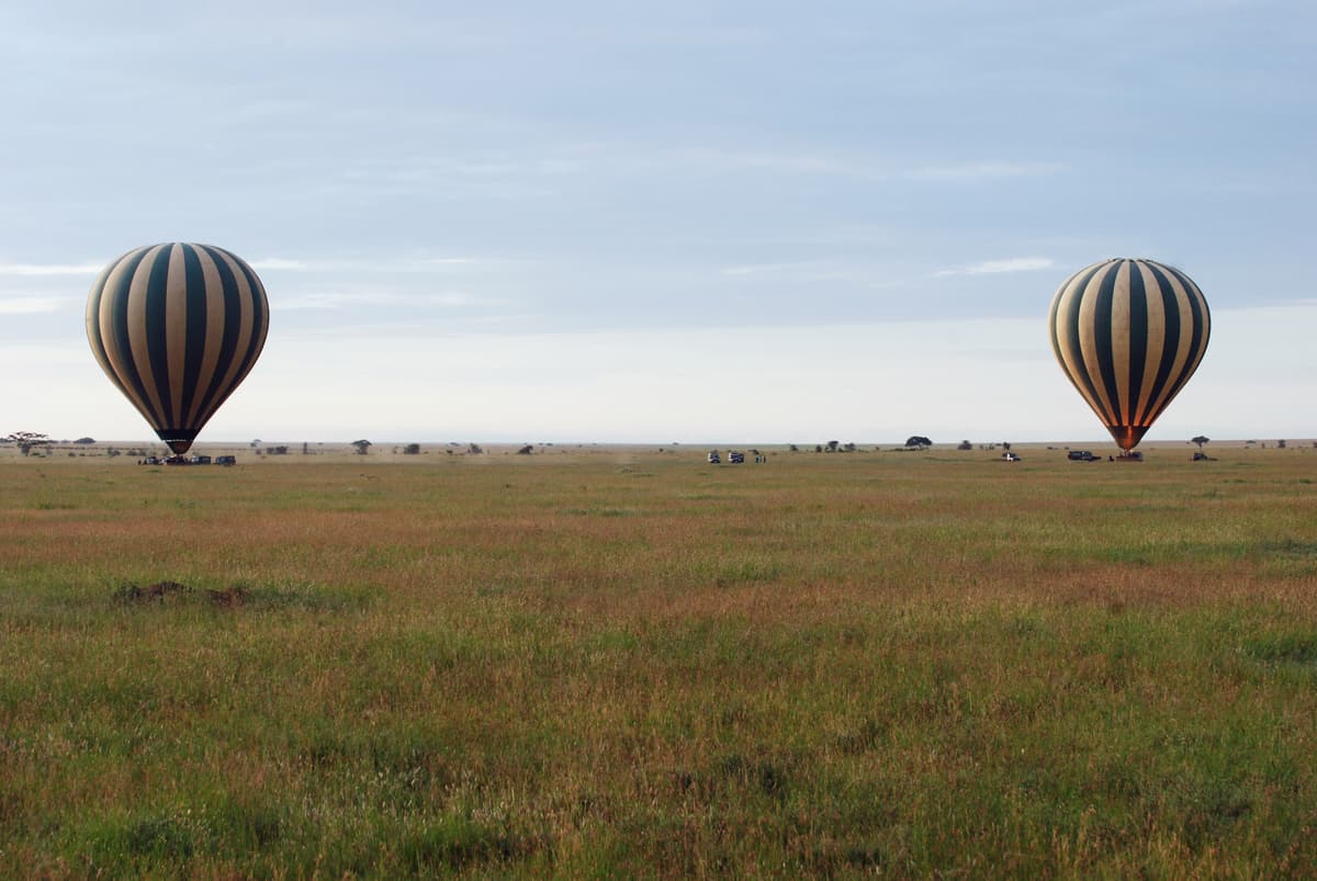 Hot-air balloons over the Serengeti plains at dawn