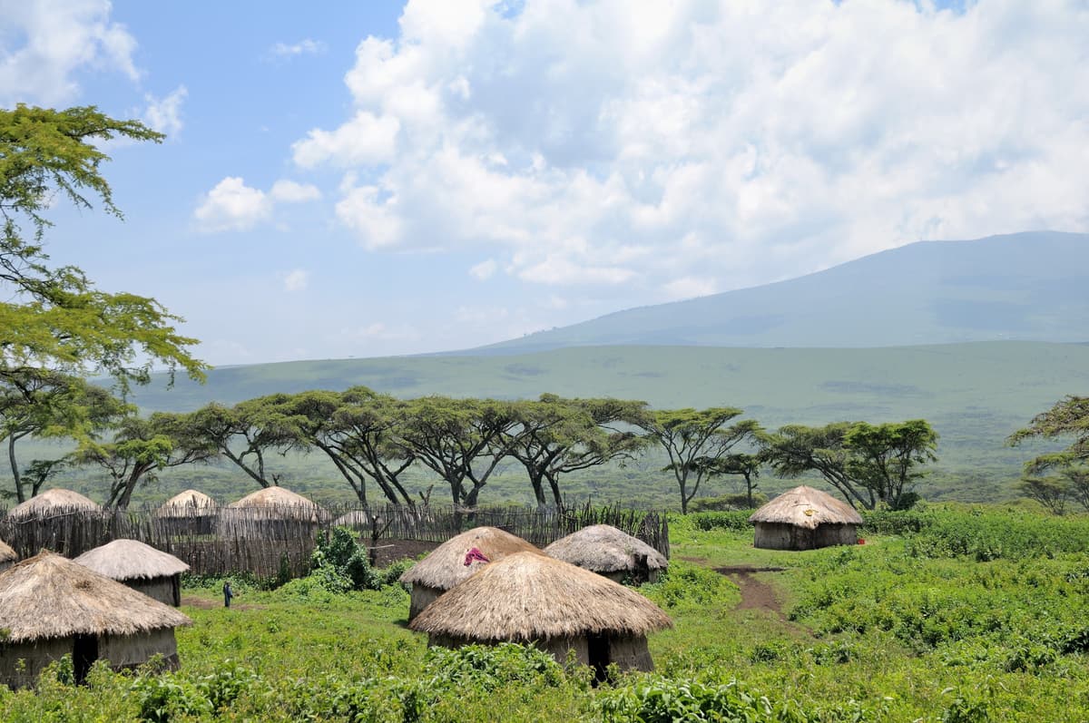 A traditional Maasai boma in the Ngorongoro highlands