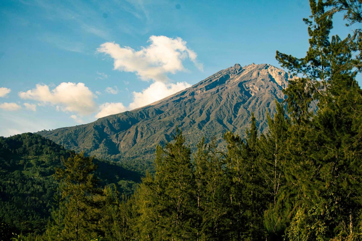 Mount Meru seen from the forest near Arusha